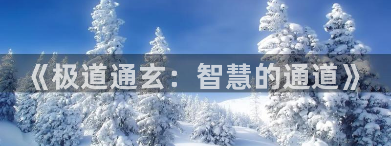 漫蛙漫画官方版正版入口网页地址：《极道通玄：智慧的通道》