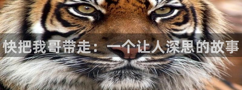 漫蛙漫画manwa最火爆的漫画网：快把我哥带走：一个让人深思的故事