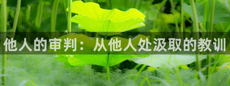 漫蛙漫画血十字：他人的审判：从他人处汲取的教训